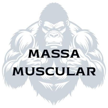 Massa Muscular