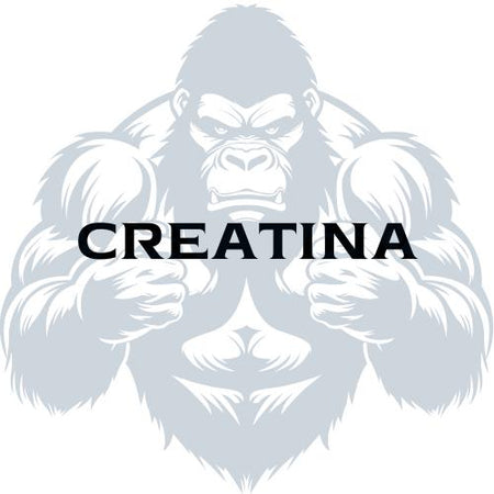 Creatina